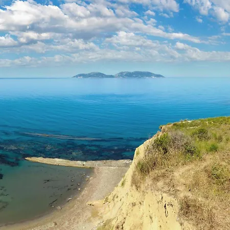 Palasea - Happy * Vlorë